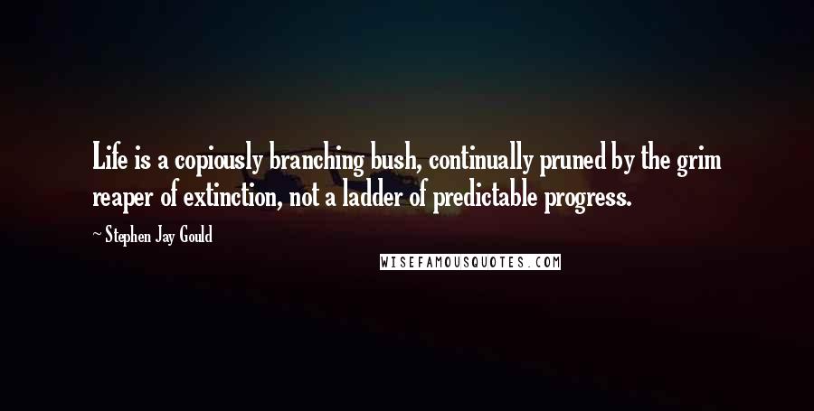 Stephen Jay Gould Quotes: Life is a copiously branching bush, continually pruned by the grim reaper of extinction, not a ladder of predictable progress.