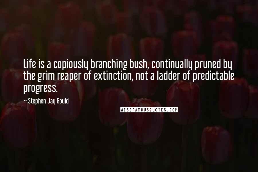 Stephen Jay Gould Quotes: Life is a copiously branching bush, continually pruned by the grim reaper of extinction, not a ladder of predictable progress.