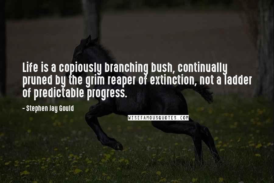 Stephen Jay Gould Quotes: Life is a copiously branching bush, continually pruned by the grim reaper of extinction, not a ladder of predictable progress.