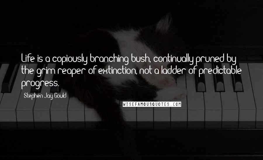 Stephen Jay Gould Quotes: Life is a copiously branching bush, continually pruned by the grim reaper of extinction, not a ladder of predictable progress.