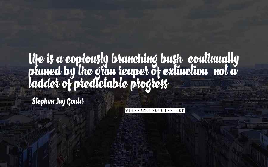 Stephen Jay Gould Quotes: Life is a copiously branching bush, continually pruned by the grim reaper of extinction, not a ladder of predictable progress.