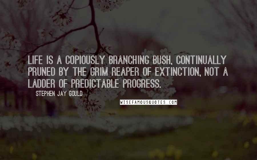 Stephen Jay Gould Quotes: Life is a copiously branching bush, continually pruned by the grim reaper of extinction, not a ladder of predictable progress.