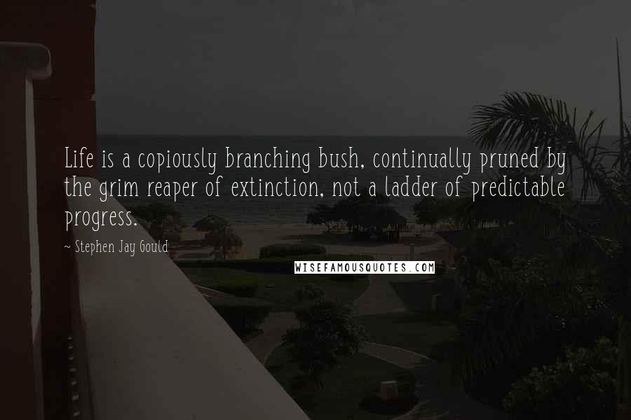 Stephen Jay Gould Quotes: Life is a copiously branching bush, continually pruned by the grim reaper of extinction, not a ladder of predictable progress.