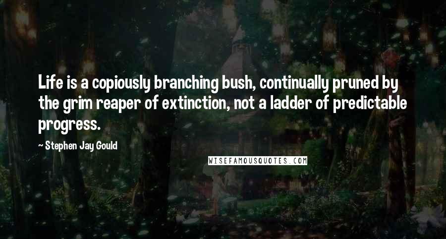 Stephen Jay Gould Quotes: Life is a copiously branching bush, continually pruned by the grim reaper of extinction, not a ladder of predictable progress.