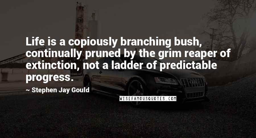 Stephen Jay Gould Quotes: Life is a copiously branching bush, continually pruned by the grim reaper of extinction, not a ladder of predictable progress.