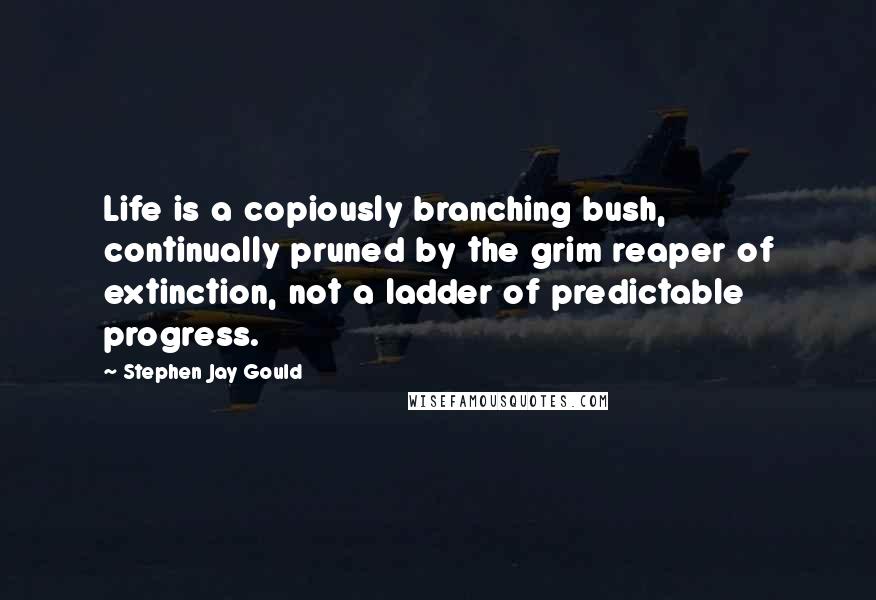 Stephen Jay Gould Quotes: Life is a copiously branching bush, continually pruned by the grim reaper of extinction, not a ladder of predictable progress.