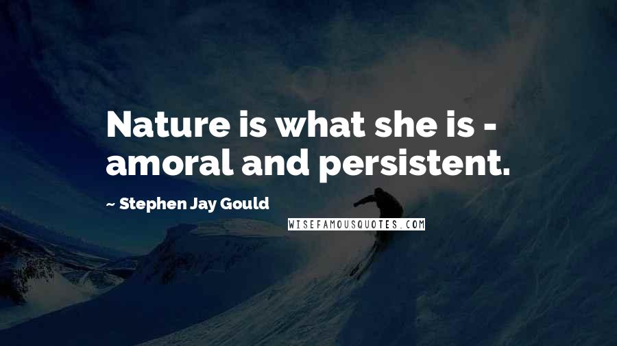 Stephen Jay Gould Quotes: Nature is what she is - amoral and persistent.