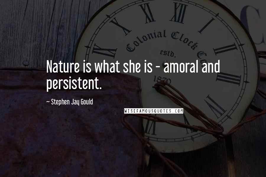 Stephen Jay Gould Quotes: Nature is what she is - amoral and persistent.