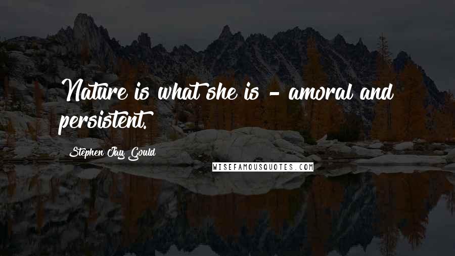 Stephen Jay Gould Quotes: Nature is what she is - amoral and persistent.