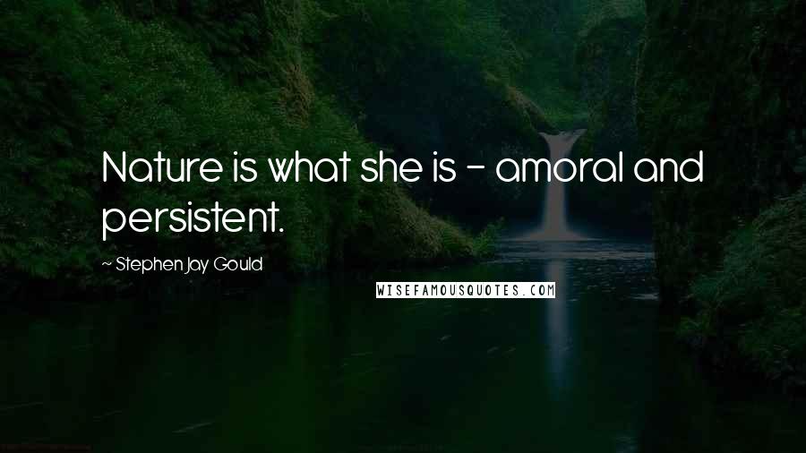 Stephen Jay Gould Quotes: Nature is what she is - amoral and persistent.