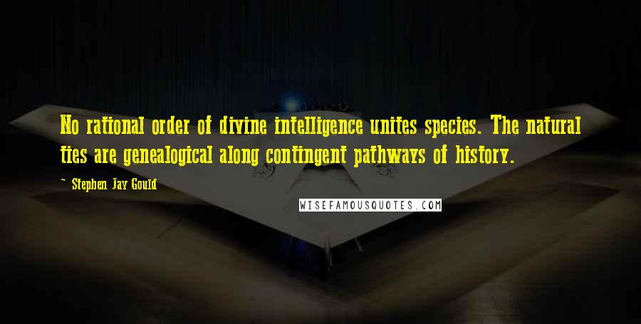 Stephen Jay Gould Quotes: No rational order of divine intelligence unites species. The natural ties are genealogical along contingent pathways of history.