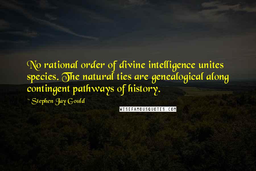 Stephen Jay Gould Quotes: No rational order of divine intelligence unites species. The natural ties are genealogical along contingent pathways of history.