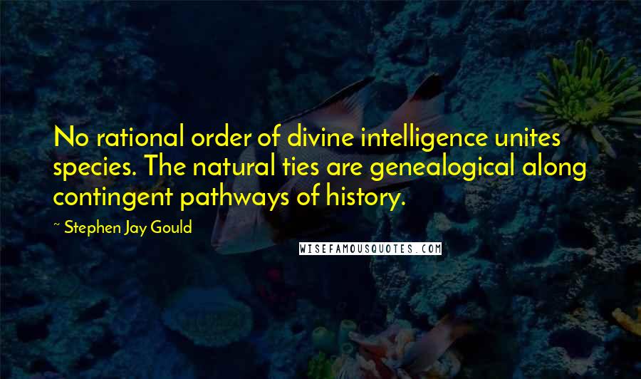 Stephen Jay Gould Quotes: No rational order of divine intelligence unites species. The natural ties are genealogical along contingent pathways of history.