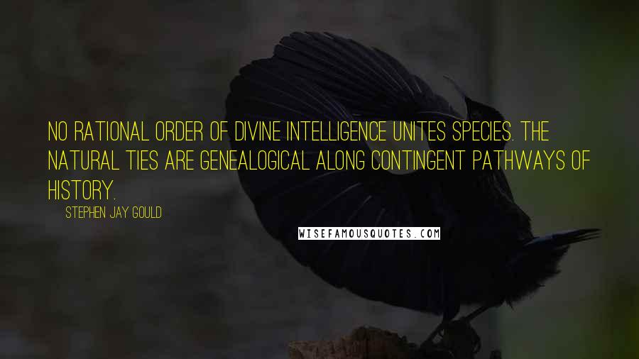 Stephen Jay Gould Quotes: No rational order of divine intelligence unites species. The natural ties are genealogical along contingent pathways of history.