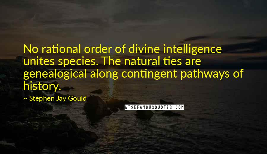 Stephen Jay Gould Quotes: No rational order of divine intelligence unites species. The natural ties are genealogical along contingent pathways of history.