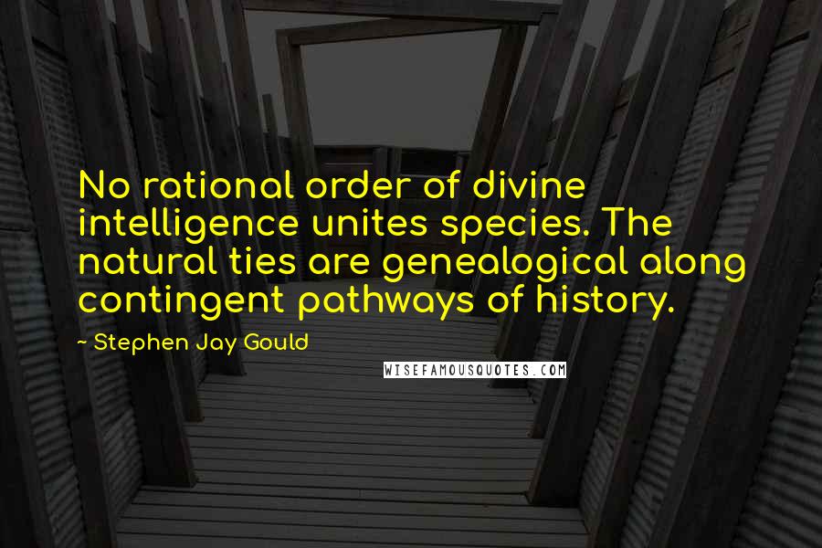 Stephen Jay Gould Quotes: No rational order of divine intelligence unites species. The natural ties are genealogical along contingent pathways of history.