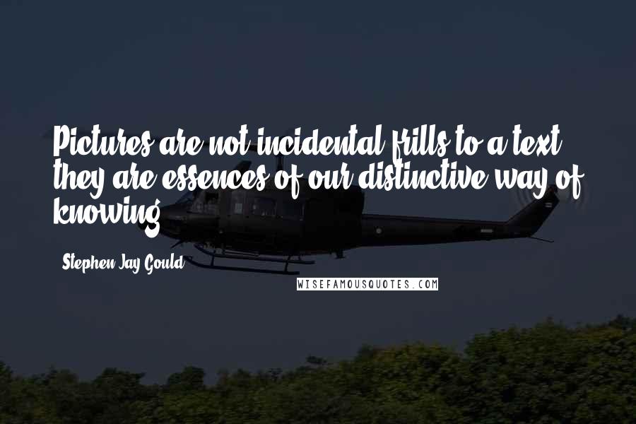 Stephen Jay Gould Quotes: Pictures are not incidental frills to a text; they are essences of our distinctive way of knowing.