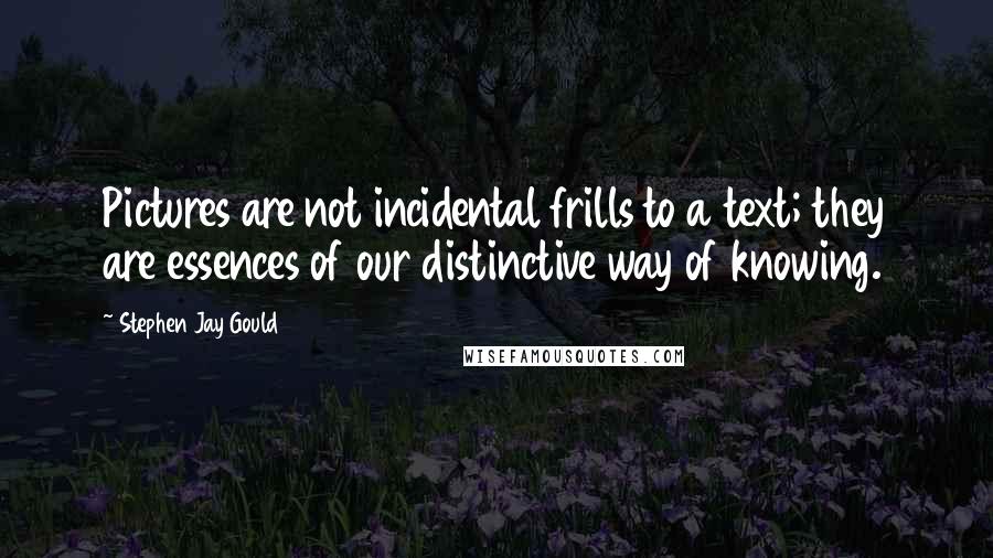 Stephen Jay Gould Quotes: Pictures are not incidental frills to a text; they are essences of our distinctive way of knowing.