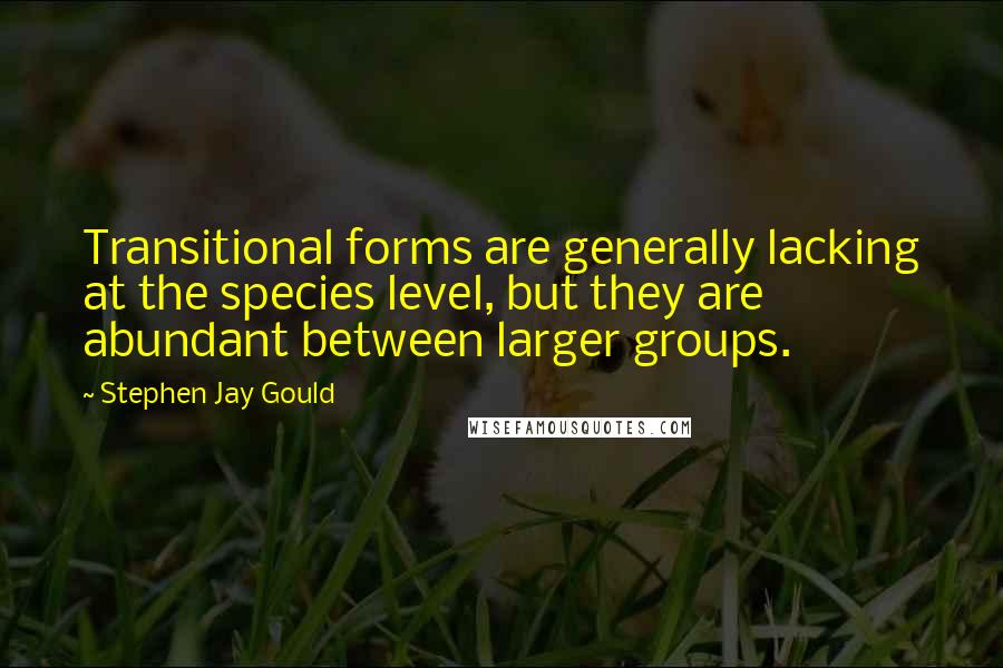 Stephen Jay Gould Quotes: Transitional forms are generally lacking at the species level, but they are abundant between larger groups.