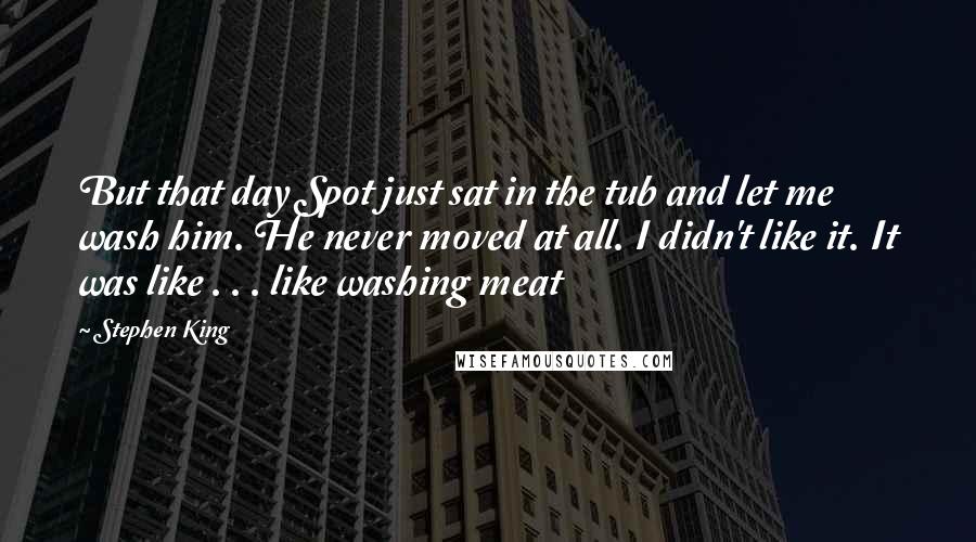 Stephen King Quotes: But that day Spot just sat in the tub and let me wash him. He never moved at all. I didn't like it. It was like . . . like washing meat