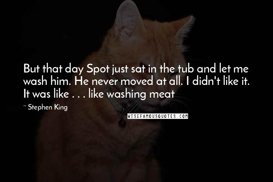 Stephen King Quotes: But that day Spot just sat in the tub and let me wash him. He never moved at all. I didn't like it. It was like . . . like washing meat
