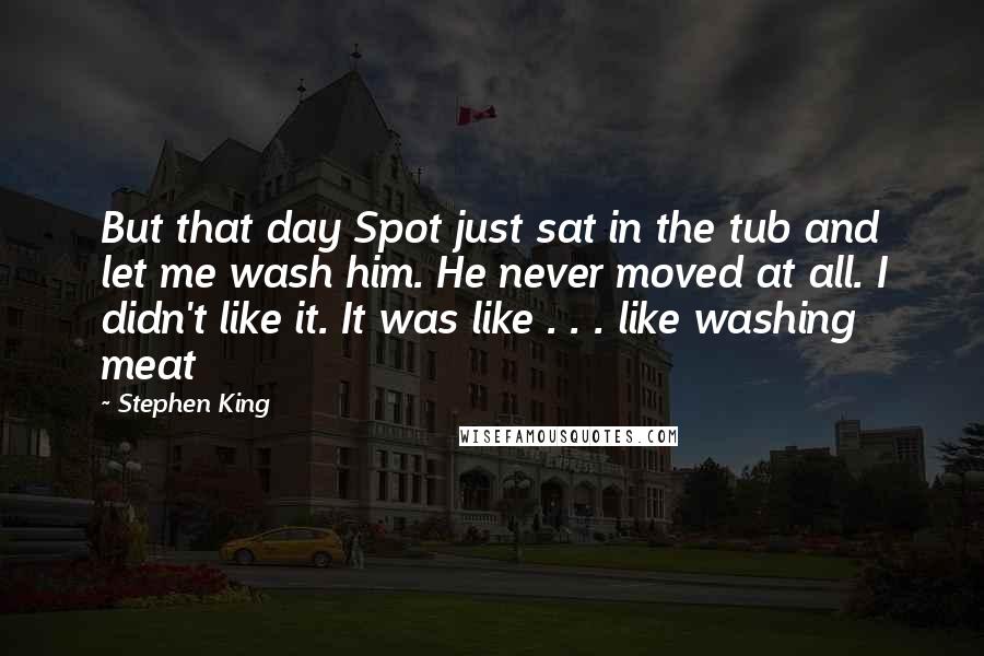 Stephen King Quotes: But that day Spot just sat in the tub and let me wash him. He never moved at all. I didn't like it. It was like . . . like washing meat