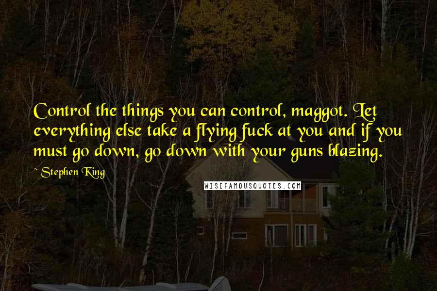 Stephen King Quotes: Control the things you can control, maggot. Let everything else take a flying fuck at you and if you must go down, go down with your guns blazing.