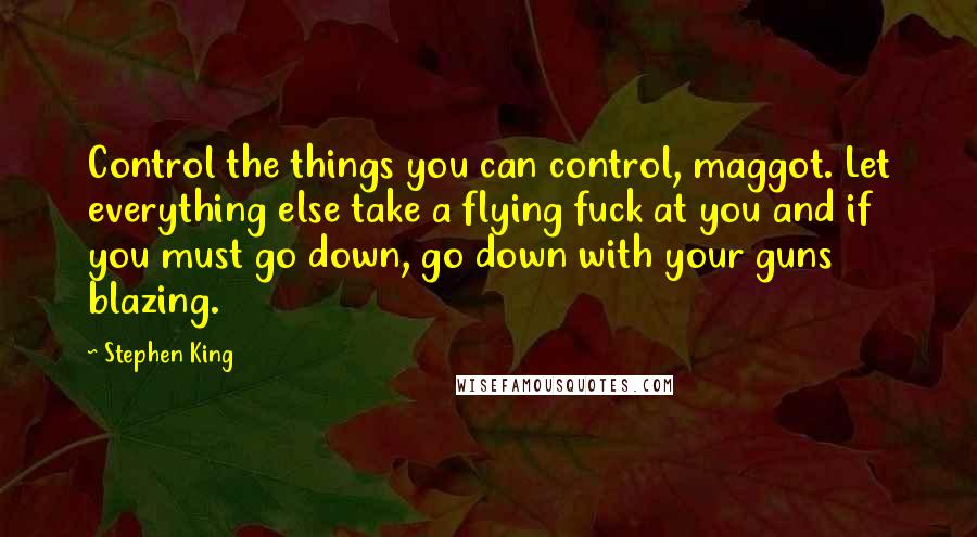 Stephen King Quotes: Control the things you can control, maggot. Let everything else take a flying fuck at you and if you must go down, go down with your guns blazing.