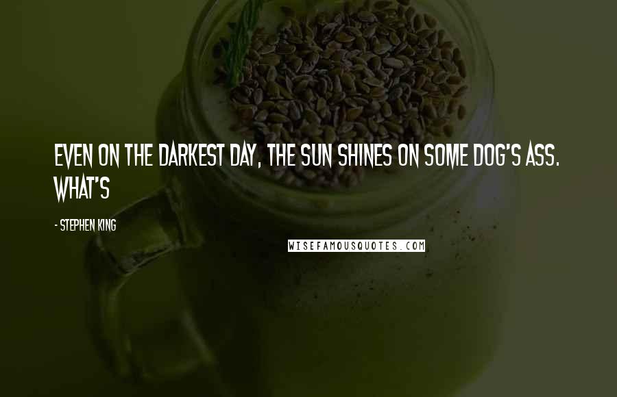 Stephen King Quotes: Even on the darkest day, the sun shines on some dog's ass. What's