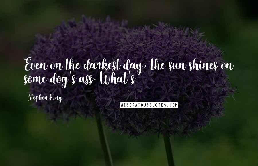 Stephen King Quotes: Even on the darkest day, the sun shines on some dog's ass. What's