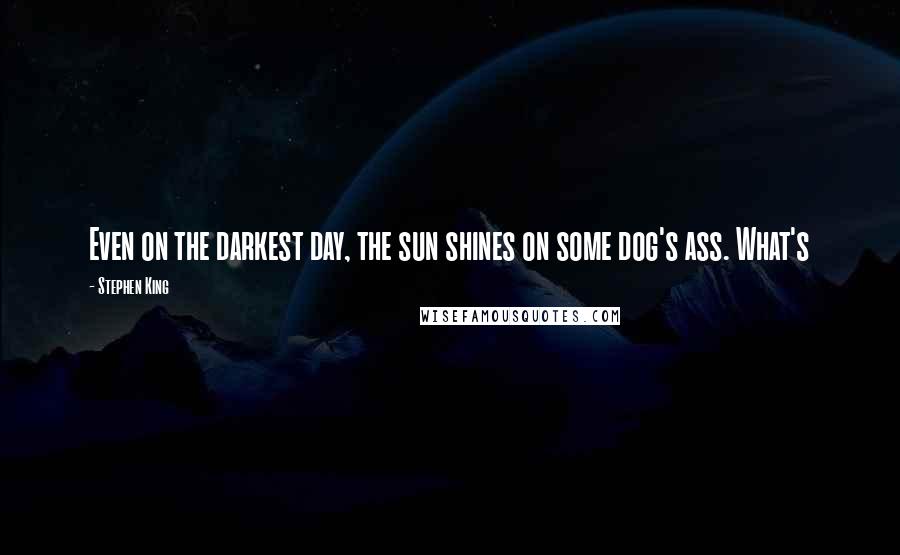 Stephen King Quotes: Even on the darkest day, the sun shines on some dog's ass. What's