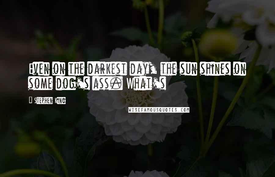 Stephen King Quotes: Even on the darkest day, the sun shines on some dog's ass. What's