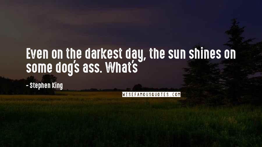 Stephen King Quotes: Even on the darkest day, the sun shines on some dog's ass. What's