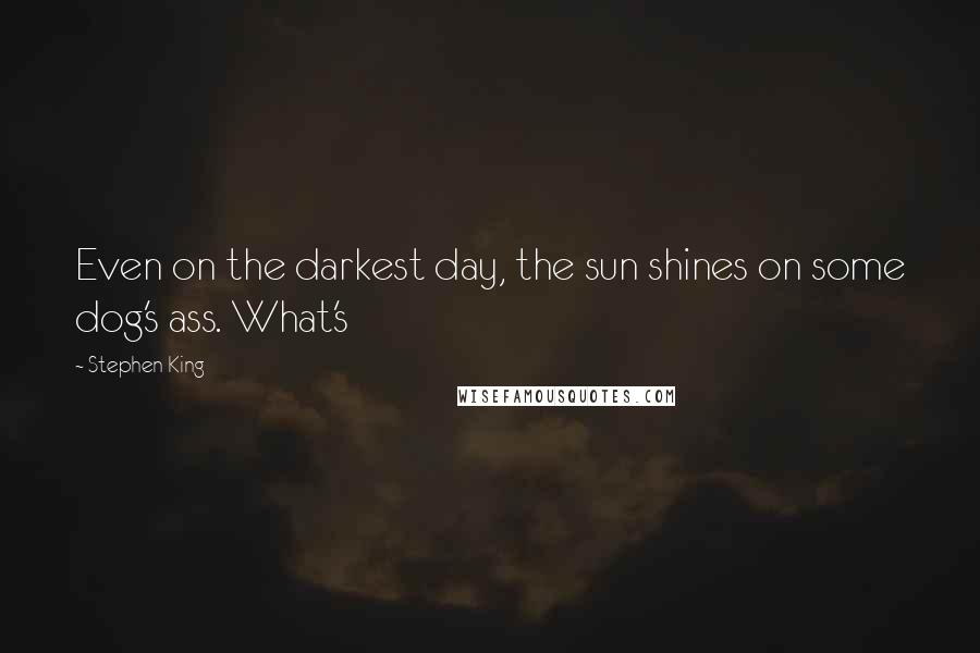 Stephen King Quotes: Even on the darkest day, the sun shines on some dog's ass. What's