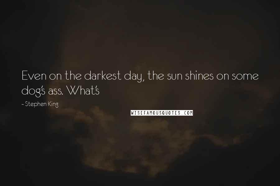 Stephen King Quotes: Even on the darkest day, the sun shines on some dog's ass. What's