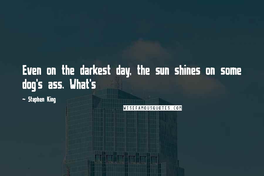 Stephen King Quotes: Even on the darkest day, the sun shines on some dog's ass. What's