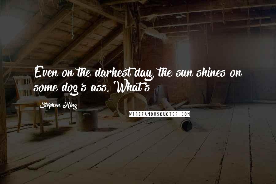 Stephen King Quotes: Even on the darkest day, the sun shines on some dog's ass. What's