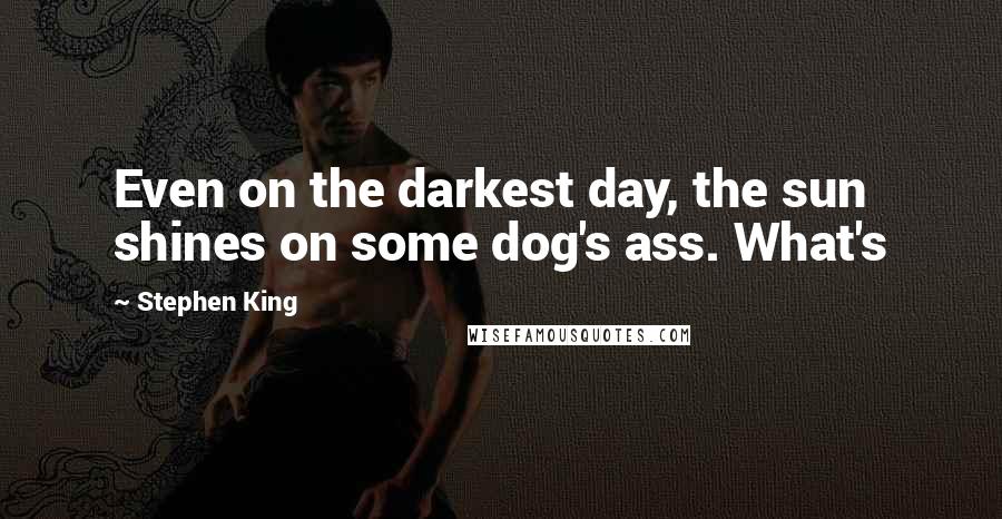 Stephen King Quotes: Even on the darkest day, the sun shines on some dog's ass. What's