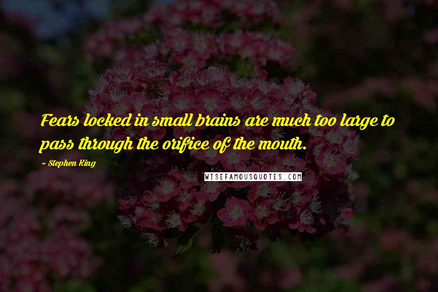 Stephen King Quotes: Fears locked in small brains are much too large to pass through the orifice of the mouth.