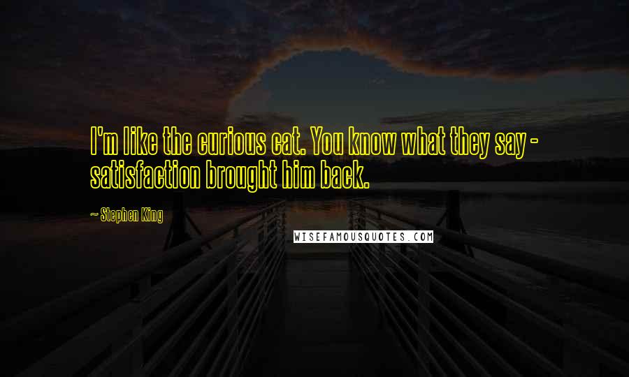 Stephen King Quotes: I'm like the curious cat. You know what they say - satisfaction brought him back.