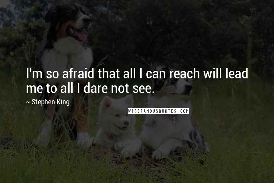 Stephen King Quotes: I'm so afraid that all I can reach will lead me to all I dare not see.