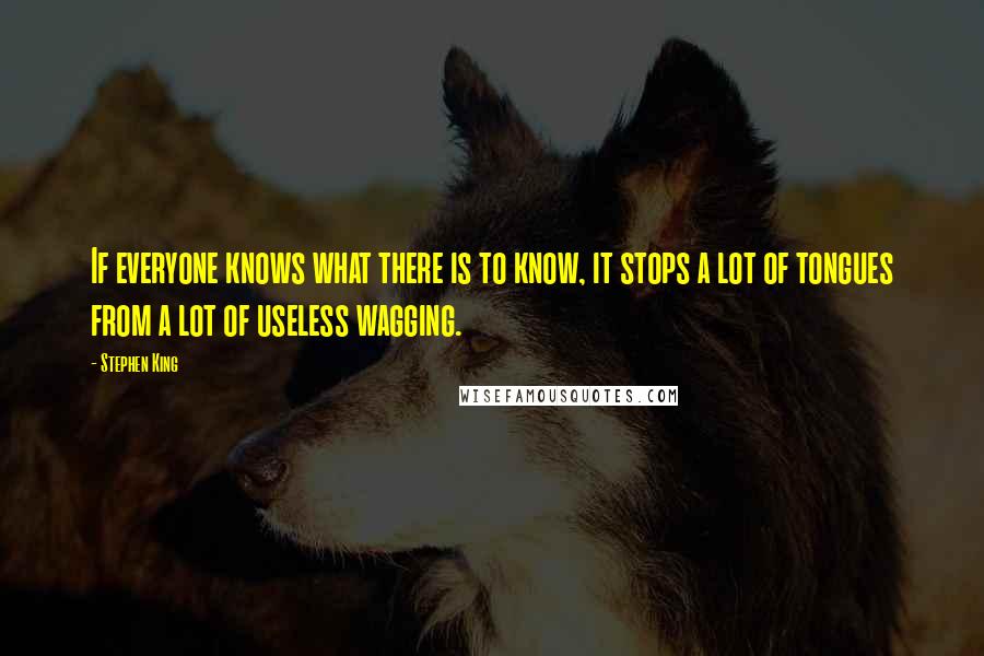 Stephen King Quotes: If everyone knows what there is to know, it stops a lot of tongues from a lot of useless wagging.