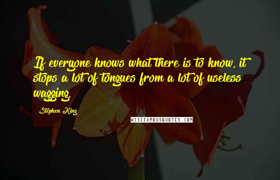 Stephen King Quotes: If everyone knows what there is to know, it stops a lot of tongues from a lot of useless wagging.