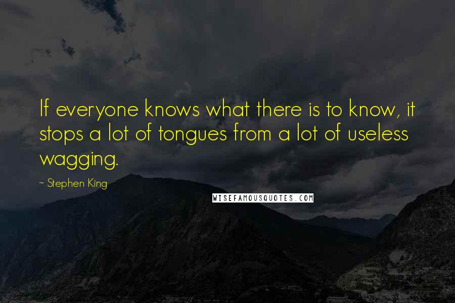 Stephen King Quotes: If everyone knows what there is to know, it stops a lot of tongues from a lot of useless wagging.