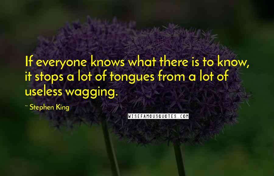 Stephen King Quotes: If everyone knows what there is to know, it stops a lot of tongues from a lot of useless wagging.