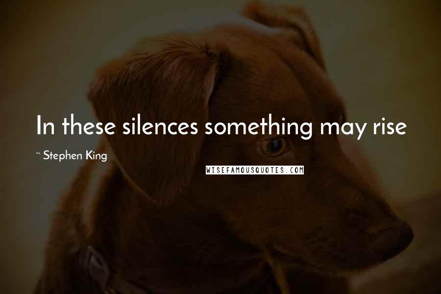 Stephen King Quotes: In these silences something may rise