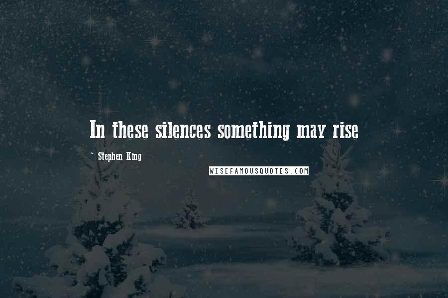 Stephen King Quotes: In these silences something may rise