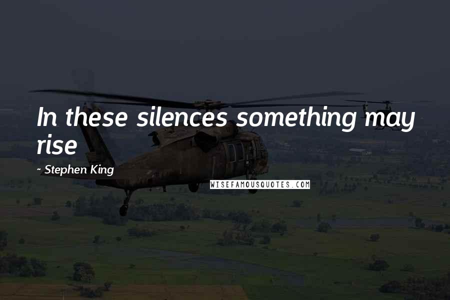 Stephen King Quotes: In these silences something may rise