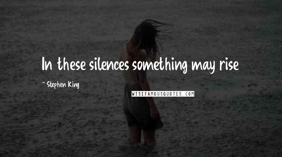 Stephen King Quotes: In these silences something may rise