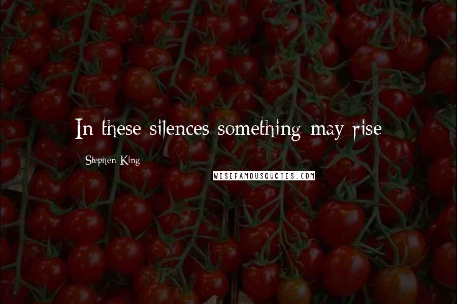 Stephen King Quotes: In these silences something may rise